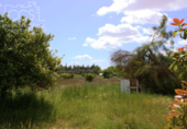 Xalet independent amb terreny en venda a la España, Almonte, ref.: TR277468 foto