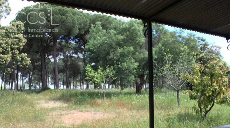 Almería - Alhabia - 6500m2