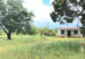 Xalet independent amb terreny en venda a la España, Almonte, ref.: TR277468 foto