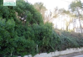 Non-developable land for sale on España, Olivella, ref: TR115350 photo