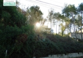 Non-developable land for sale on España, Olivella, ref: TR115350 photo