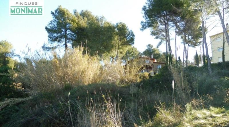 Barcelona - Olivella - 800m2
