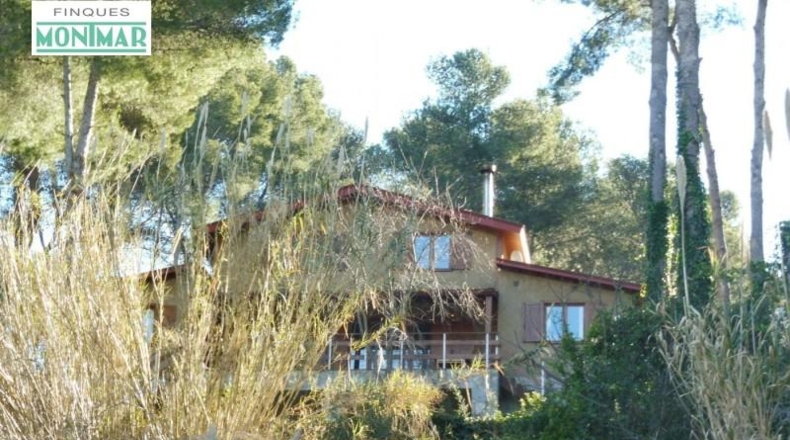 Barcelona - Olivella - 800m2