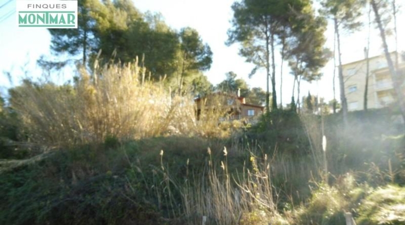 Barcelona - Olivella - 800m2