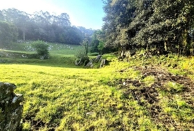 Balbacienta 6478&nbsp;m²