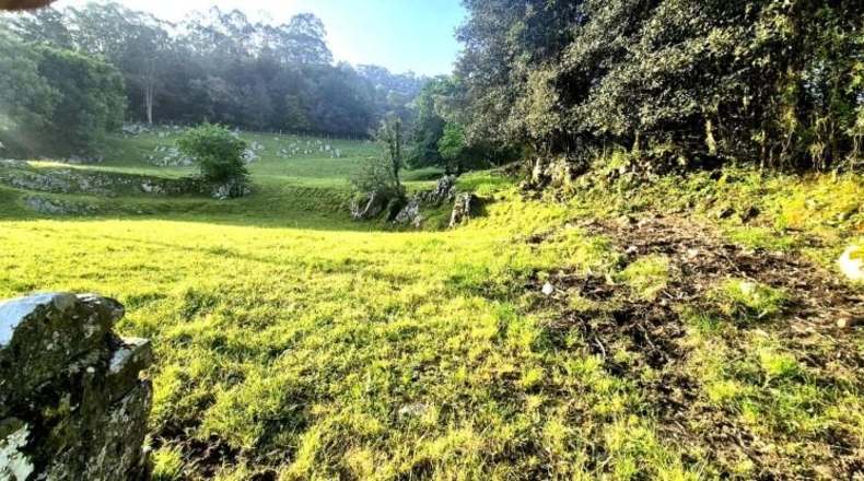 Cantabria - Balbacienta - 6478m2