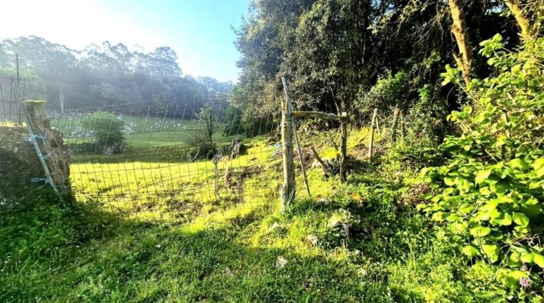Cantabria - Balbacienta - 6478m2
