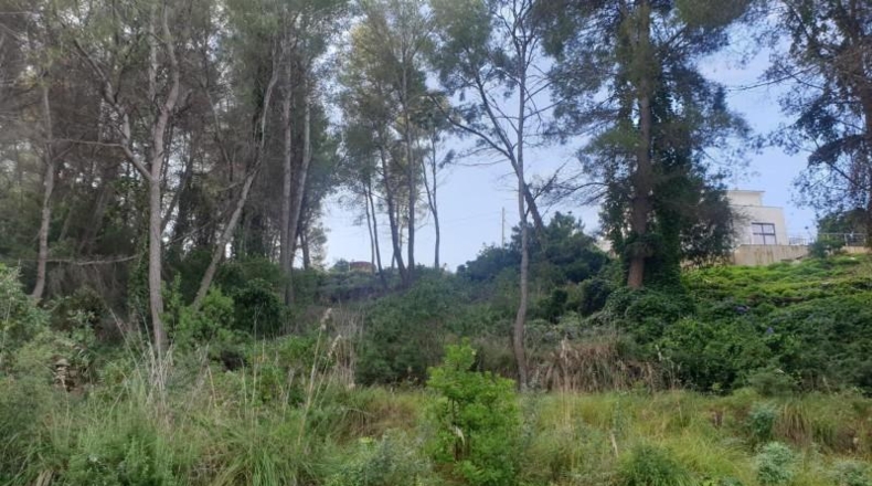 Barcelona - Olivella - 1348m2