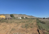 Terreny no urbanitzable en venda a la España, el Fondó de les Neus, ref.: TR202778 foto