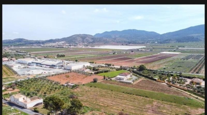 Alicante - Elche - 6100m2