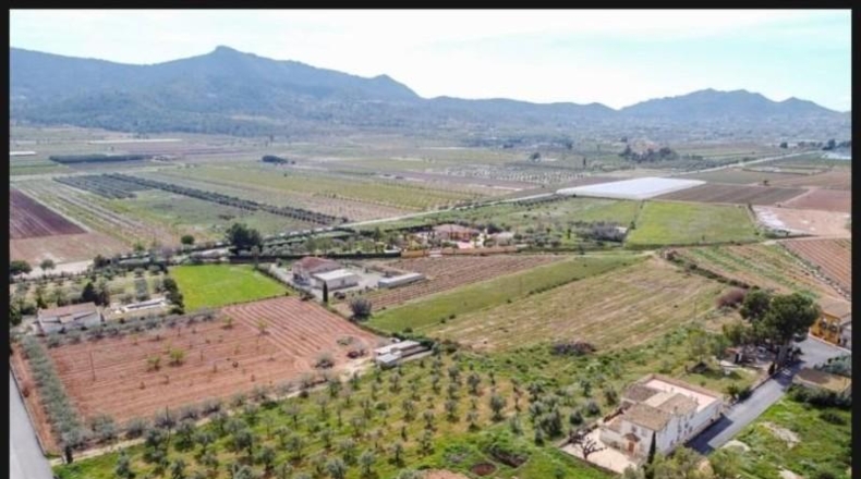 Alicante - Elche - 6100m2