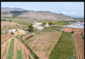 Terreny no urbanitzable en venda a la España, el Fondó de les Neus, ref.: TR202778 foto