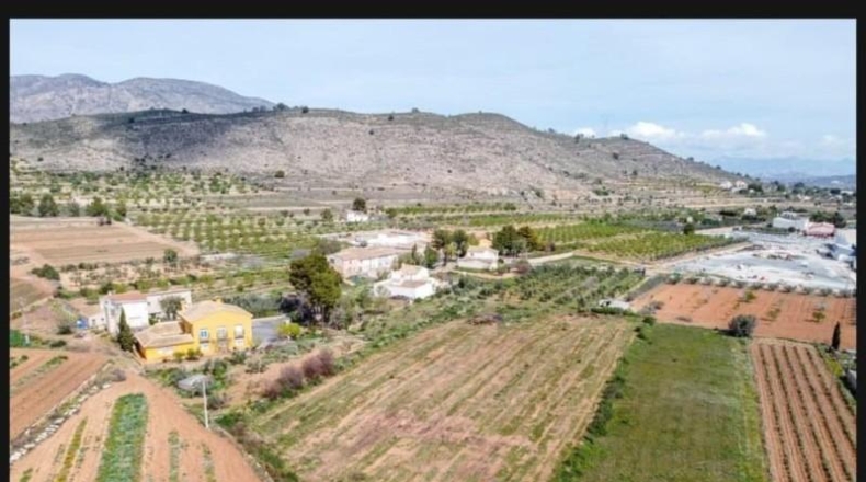 Alicante - Elche - 6100m2