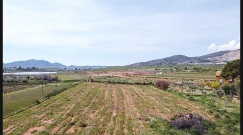 Alicante - Elche - 6100m2