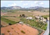Terreny no urbanitzable en venda a la España, el Fondó de les Neus, ref.: TR202778 foto