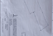 Terreny no urbanitzable en venda a la España, el Fondó de les Neus, ref.: TR202778 foto