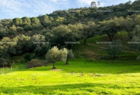 Alájar 50622&nbsp;m²