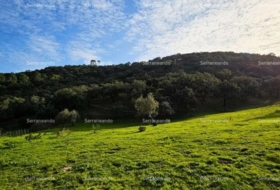 Alájar 50622&nbsp;m²