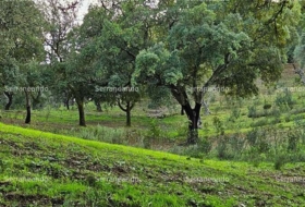 Alájar 50622&nbsp;m²
