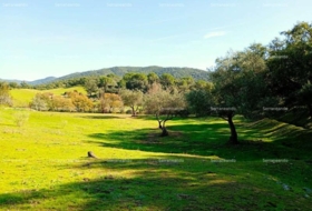 Alájar 50622&nbsp;m²