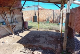 Foto 15