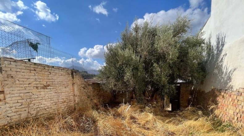 Málaga - Antequera - 223m2