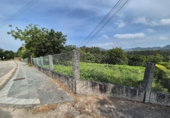 Non-developable land for sale on España, Gondomar, ref: TR113341 photo