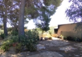 Finca rústica en venda a la España, Calasparra, ref.: TR294666 foto