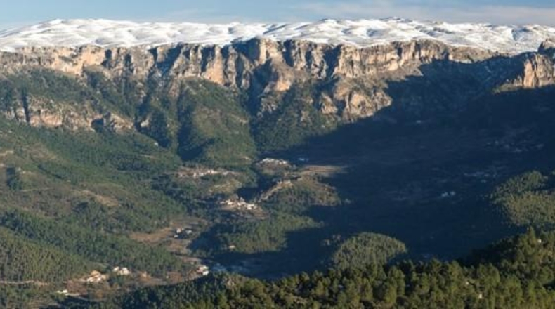 Albacete - Elche de la Sierra - 627m2