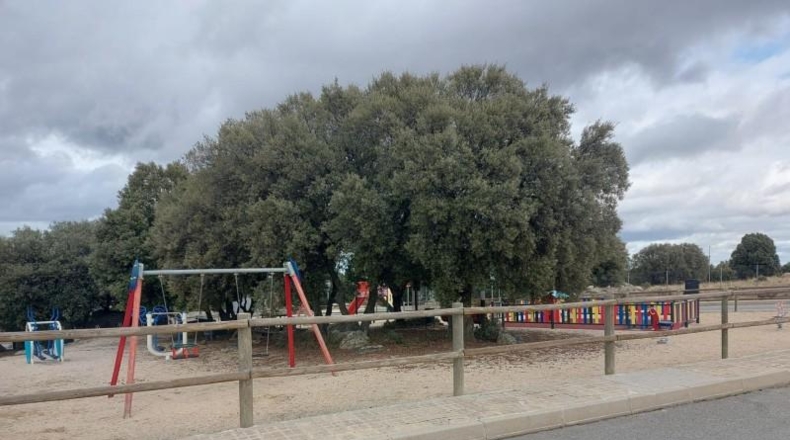 Segovia - Zarzuela del Monte - 700m2