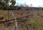 Chalet independiente con terreno en venta en la España, Bolaños de Calatrava, ref: TR404136 foto