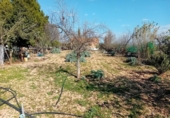 Chalet independiente con terreno en venta en la España, Bolaños de Calatrava, ref: TR404136 foto