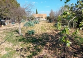 Chalet independiente con terreno en venta en la España, Bolaños de Calatrava, ref: TR404136 foto