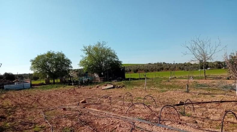 Ciudad Real - Bolaños de Calatrava - 3000m2