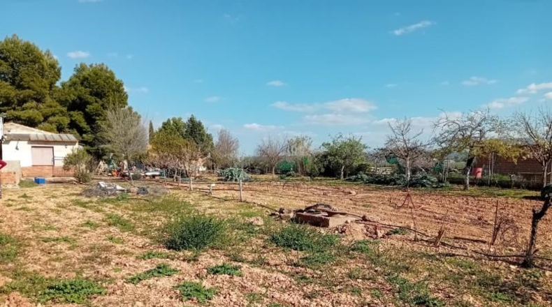 Ciudad Real - Bolaños de Calatrava - 3000m2