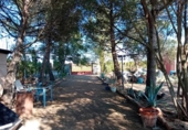 Chalet independiente con terreno en venta en la España, Bolaños de Calatrava, ref: TR404136 foto