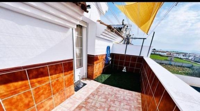 Málaga - Mollina - 282m2