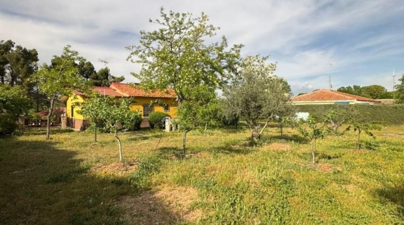 Guadalajara - Albalate de Zorita - 3000m2