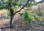 Xalet independent amb terreny en venda a la España, Picón, ref.: TR398105 foto