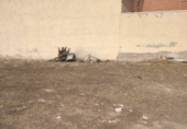 Urban land for sale on España, Miguelturra, ref: TR321067 photo