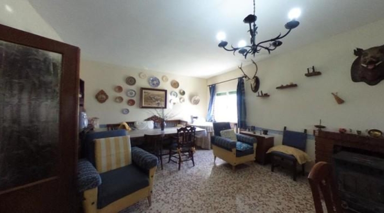 Ciudad Real - Miguelturra - 7500m2