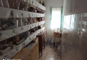 Casa de camp amb terreny en venda a la España, Miguelturra, ref.: TR138408 foto