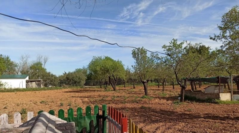 Ciudad Real - Miguelturra - 7500m2