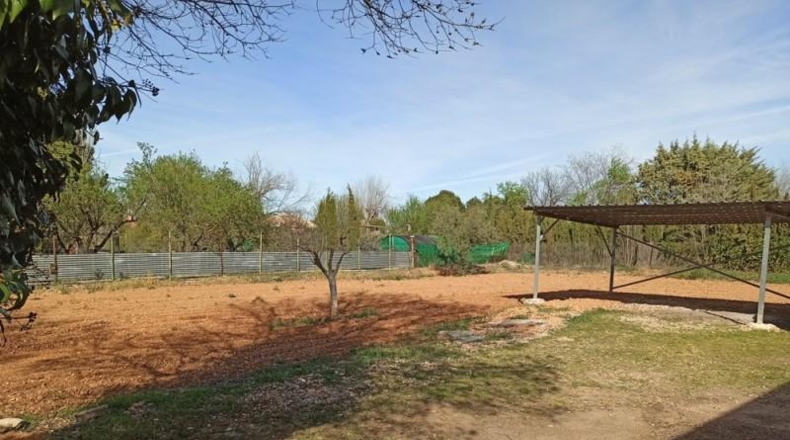 Ciudad Real - Miguelturra - 7500m2