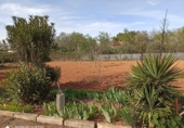 Casa de camp amb terreny en venda a la España, Miguelturra, ref.: TR138408 foto