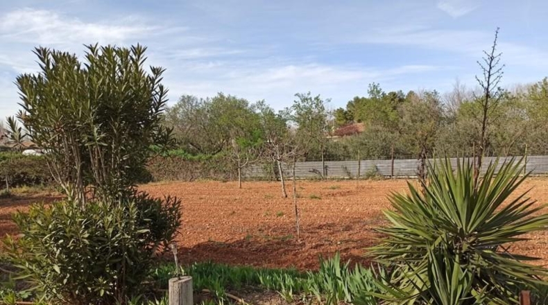 Ciudad Real - Miguelturra - 7500m2