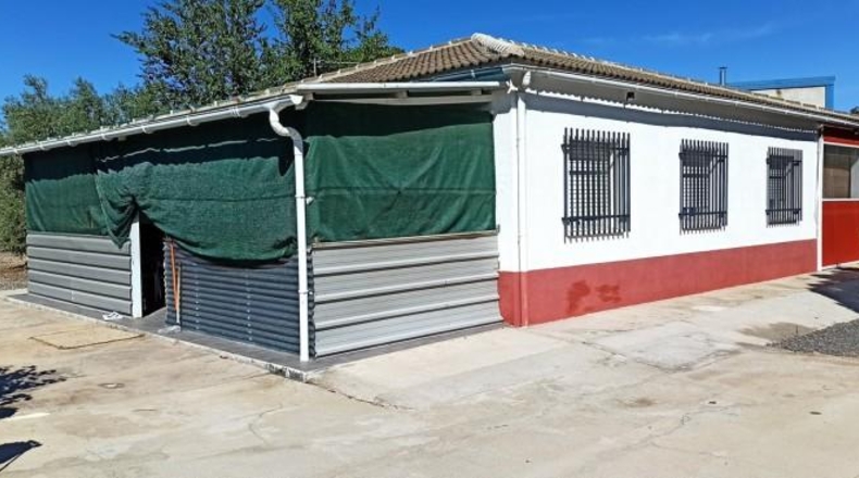 Ciudad Real - Miguelturra - 5000m2