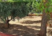 Xalet independent amb terreny en venda a la España, Miguelturra, ref.: TR138409 foto