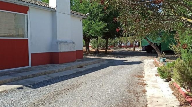 Ciudad Real - Miguelturra - 5000m2