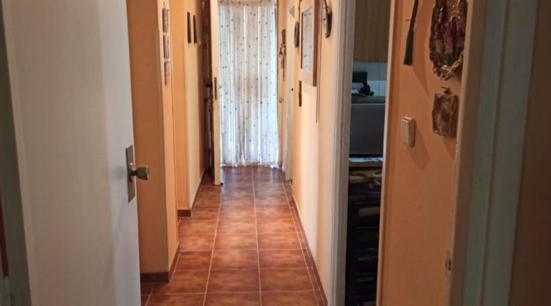 Ciudad Real - Miguelturra - 5000m2